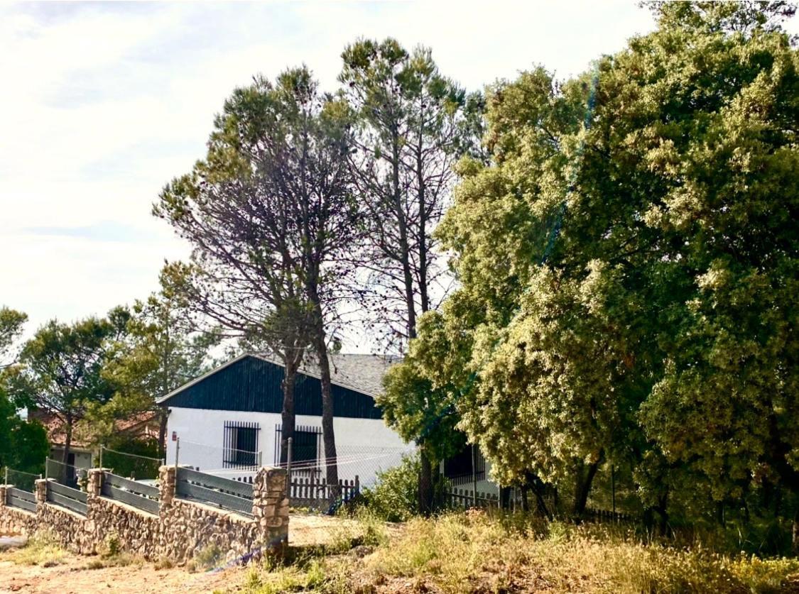 Вилла Alcarria , Casa Del Agua Альбалате-де-Сорита Экстерьер фото